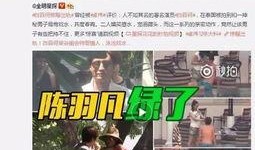 谢锐韬爆料视频全集,揭秘事件真相与幕后黑幕
