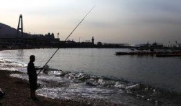 淡水夜钓大事件爆料最新